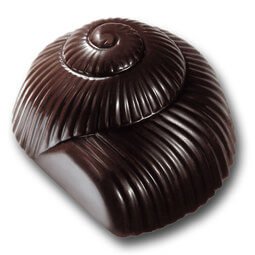 Escargot chocolat nu