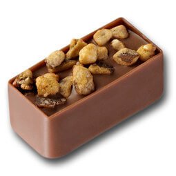 Passion - fève tonka chocolat au lait