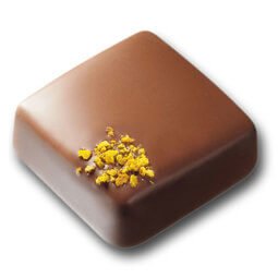 Carré lait ganache citron